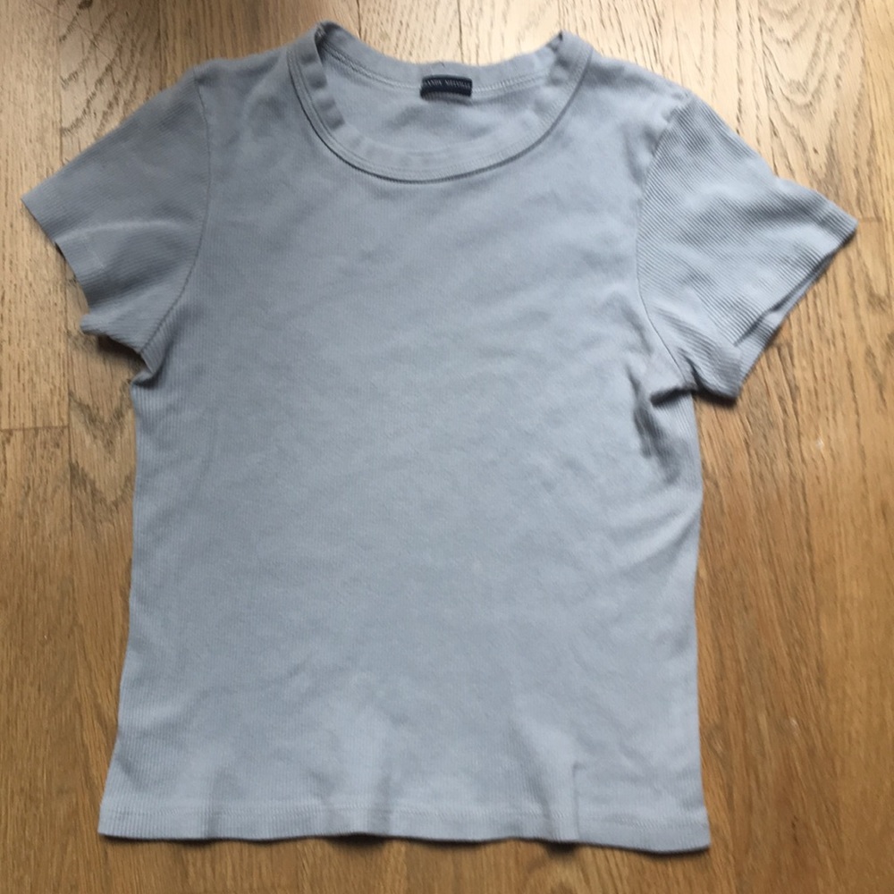 Brandy Melville Blue Crop Top